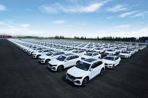 国内汽车代理新观察 上海热线模式与随州地区汽车代理发展的启示